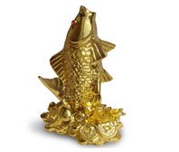 Vastu & Feng Shui Items